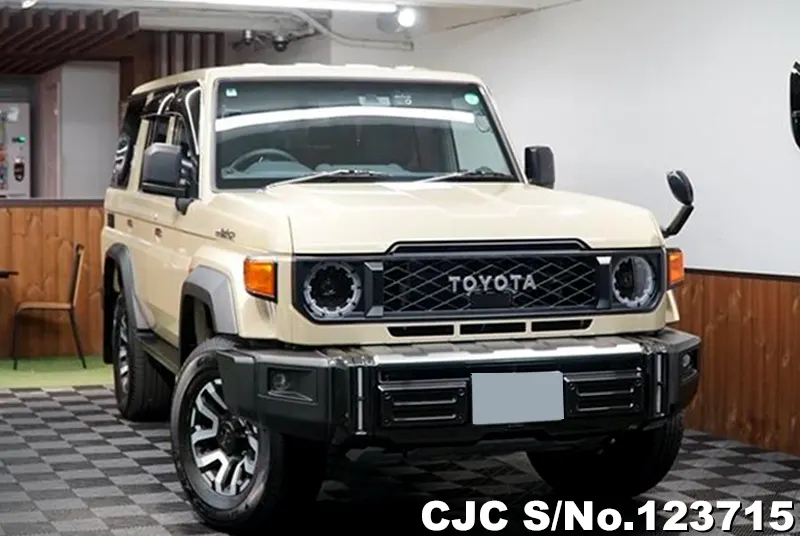 Toyota / Land Cruiser 2024