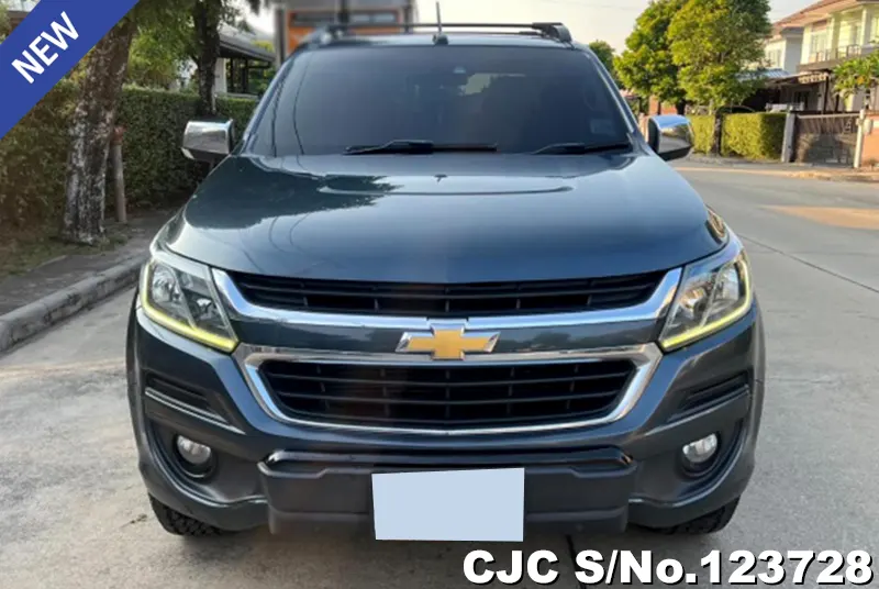 Chevrolet Colorado in Gray for Sale Image 2