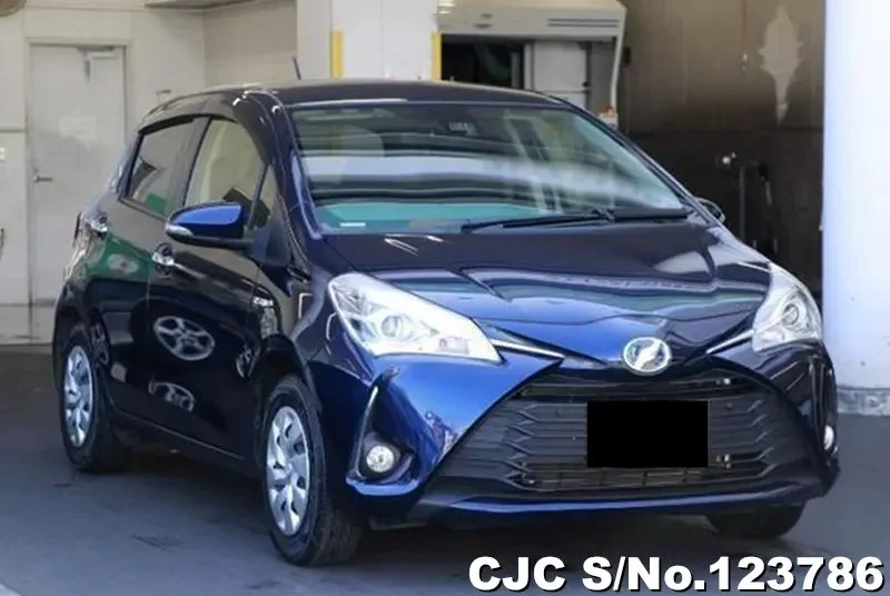 Toyota / Vitz 2019