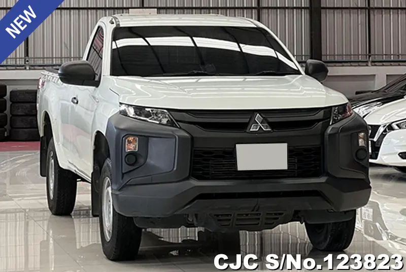 Mitsubishi / Triton 2020