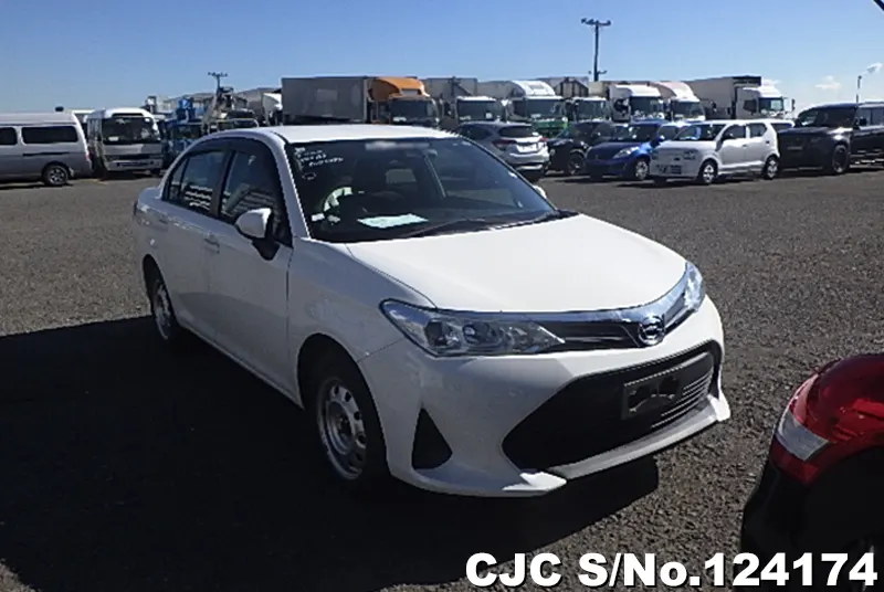 Toyota / Corolla Axio 2019