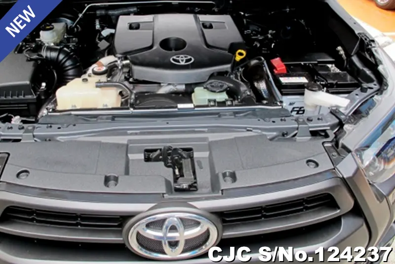 Toyota Hilux in Gray for Sale Image 10