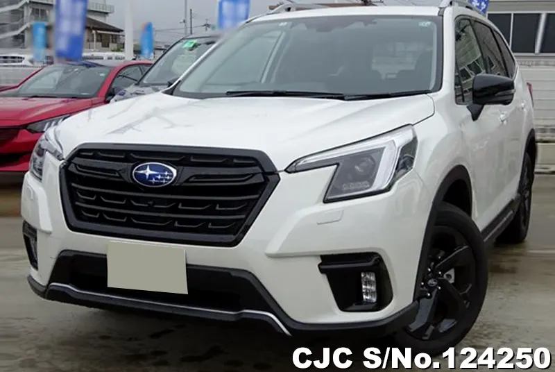 Subaru / Forester 2024