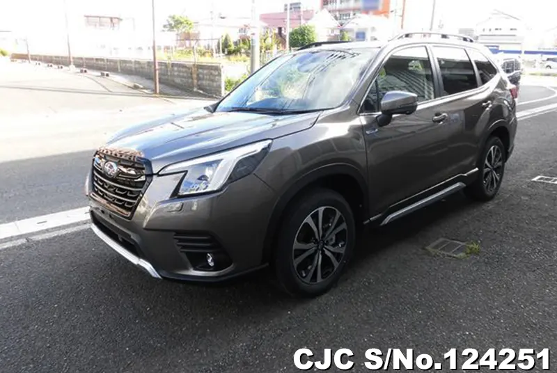 Subaru / Forester 2024