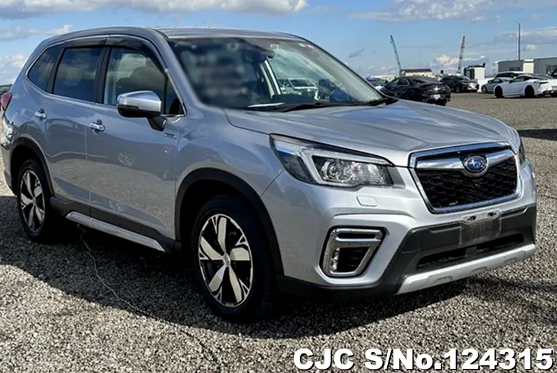 Subaru / Forester 2019