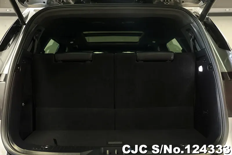 Ford Everest in Silver for Sale Image 5
