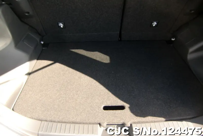 2020 Toyota / Raize Stock No. 124475