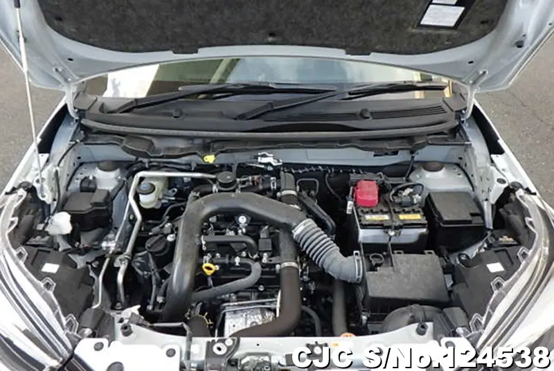 2021 Toyota / Raize Stock No. 124538