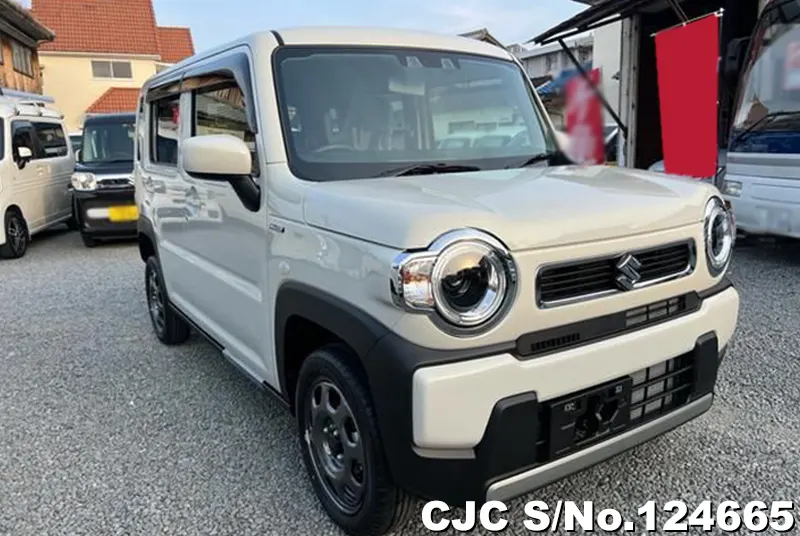 Suzuki / Hustler 2025