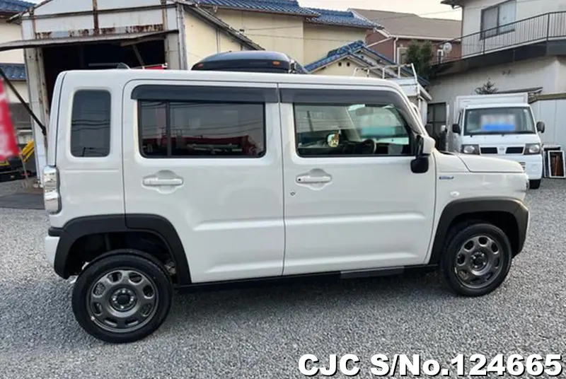 Suzuki Hustler in Cream for Sale Image 6