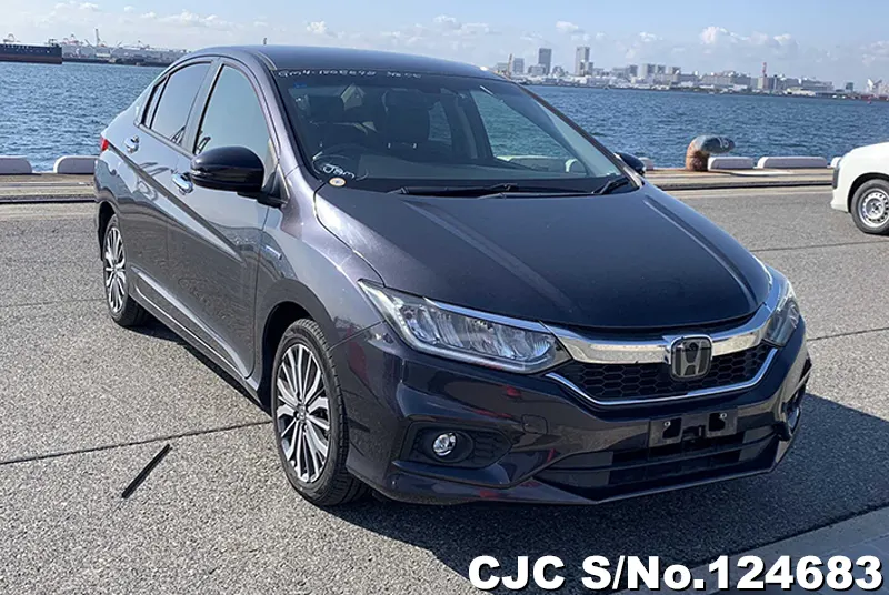 Honda / Grace 2019