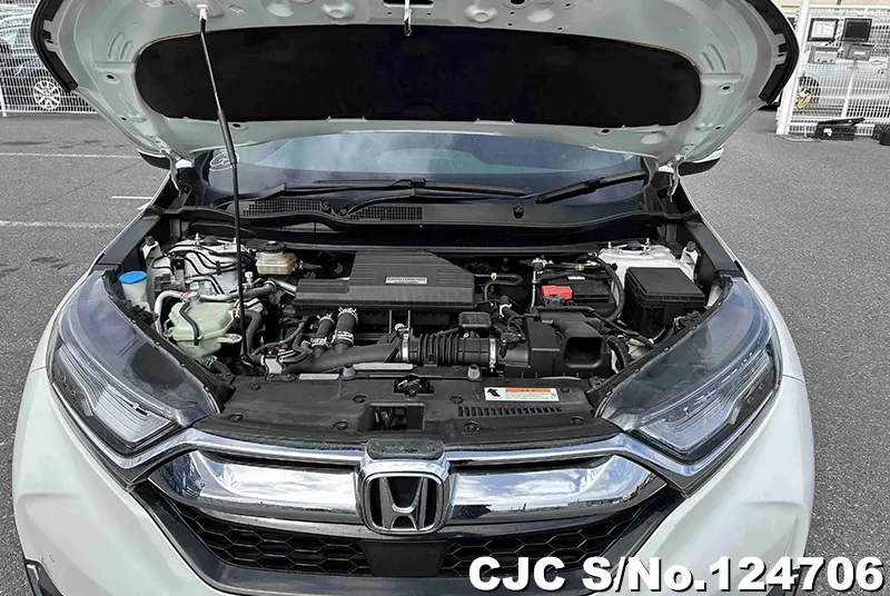 Honda CRV in Pearl for Sale Image 14
