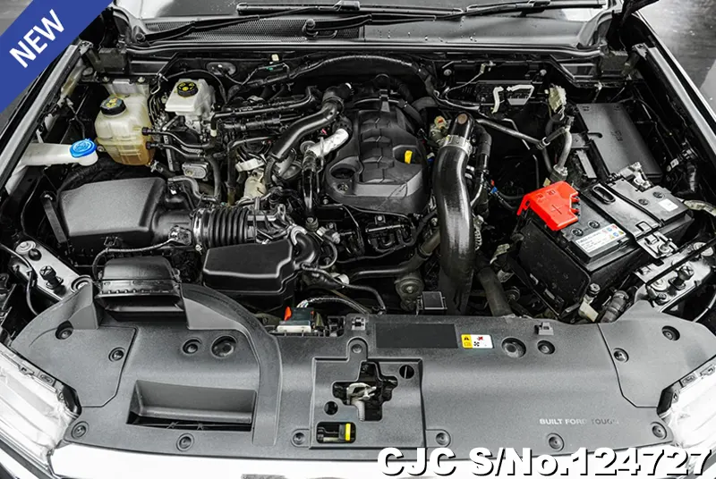 Ford Everest in Black for Sale Image 15