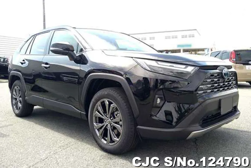 Toyota / Rav4 2025