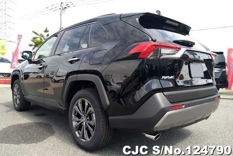 Toyota Rav4 in Black for Sale Image 1