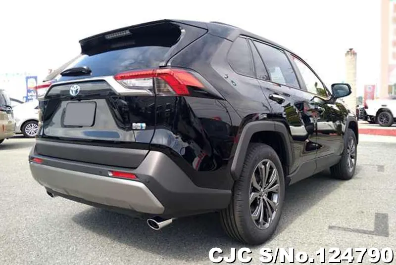 Toyota Rav4 in Black for Sale Image 2