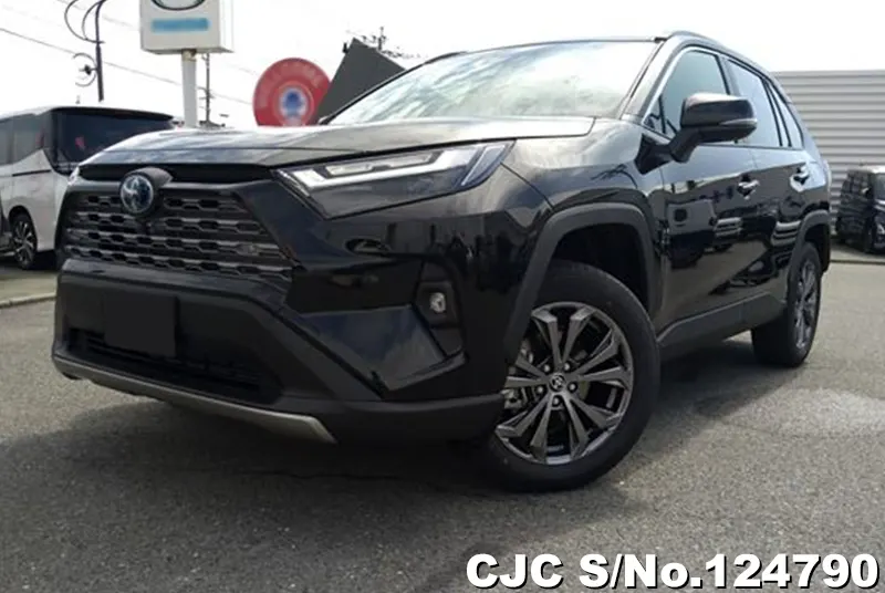 Toyota Rav4 in Black for Sale Image 3