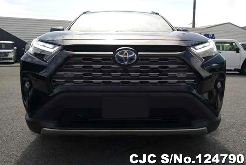 Toyota Rav4 in Black for Sale Image 4