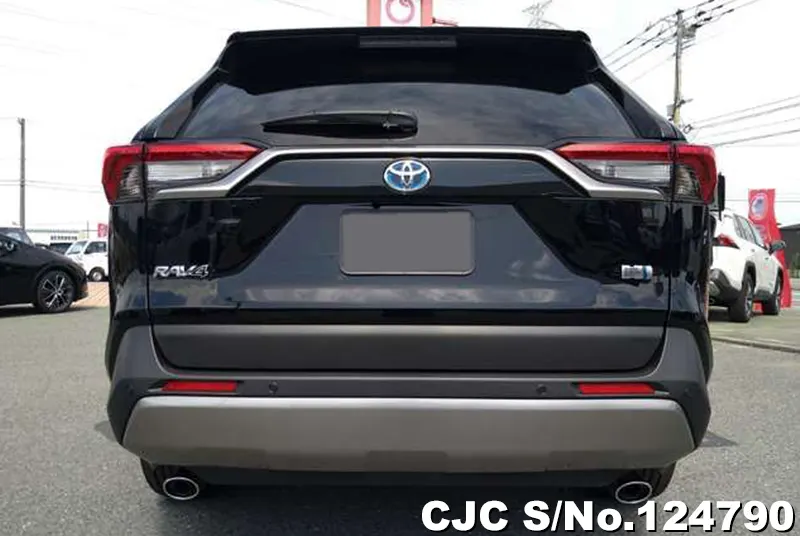Toyota Rav4 in Black for Sale Image 5