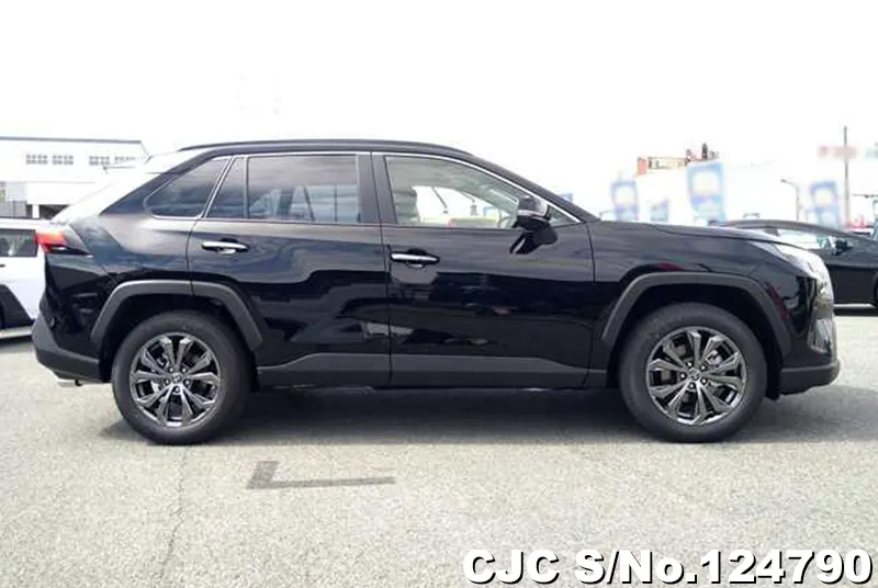 Toyota Rav4 in Black for Sale Image 6