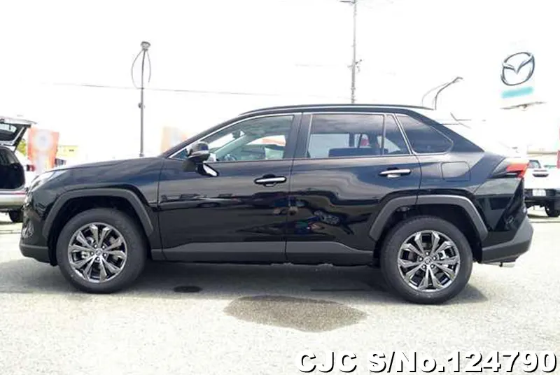 Toyota Rav4 in Black for Sale Image 7
