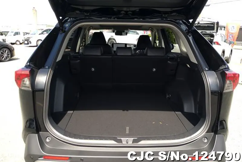 Toyota Rav4 in Black for Sale Image 8
