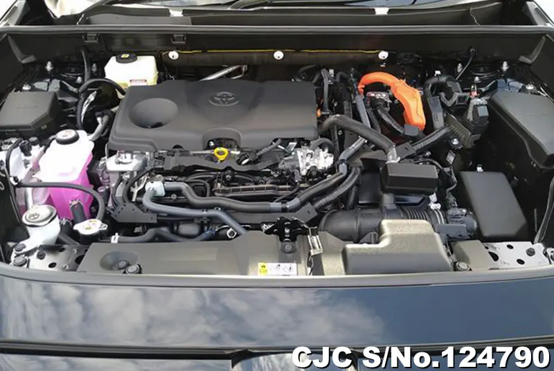 Toyota Rav4 in Black for Sale Image 17