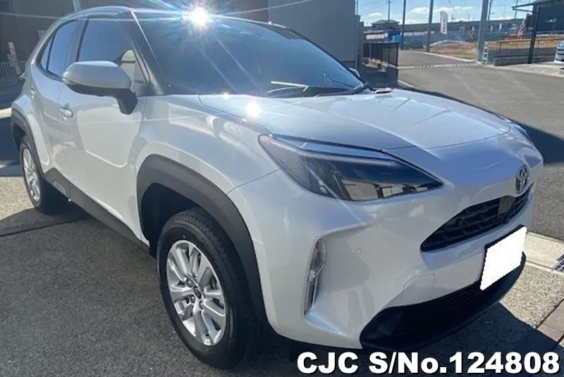 Toyota / Yaris Cross 2025