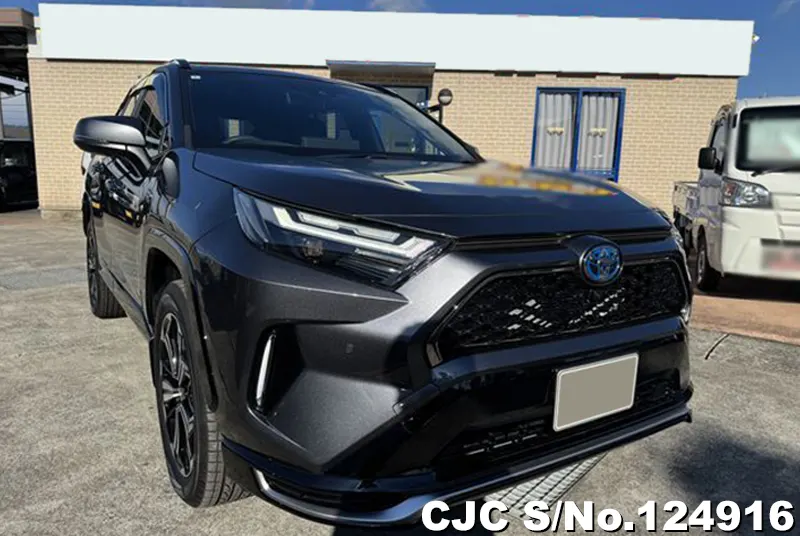 Toyota / Rav4 2024