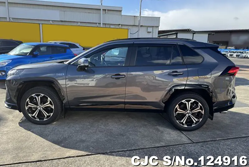 Toyota Rav4 in Gray for Sale Image 5