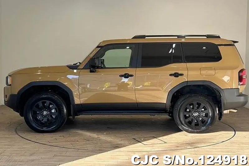 Toyota Land Cruiser 250 in Sand x Light Gray for Sale Image 6