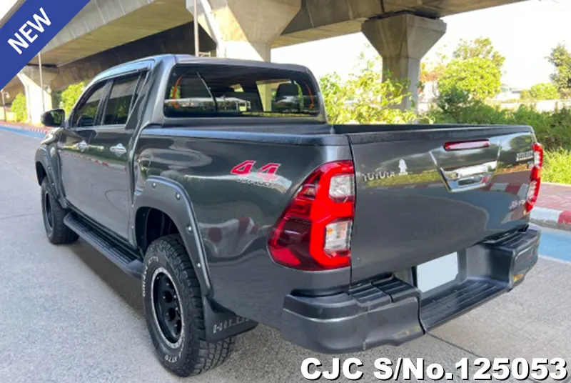 Toyota Hilux in Gray for Sale Image 1