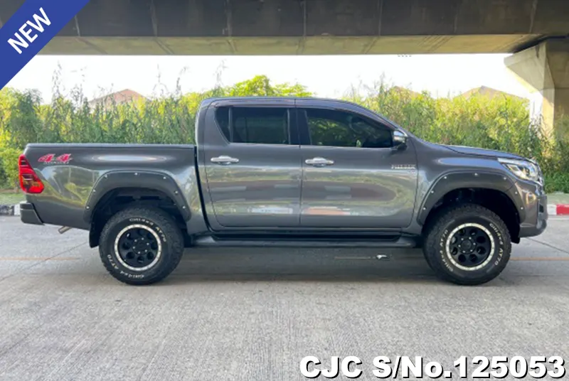 Toyota Hilux in Gray for Sale Image 6