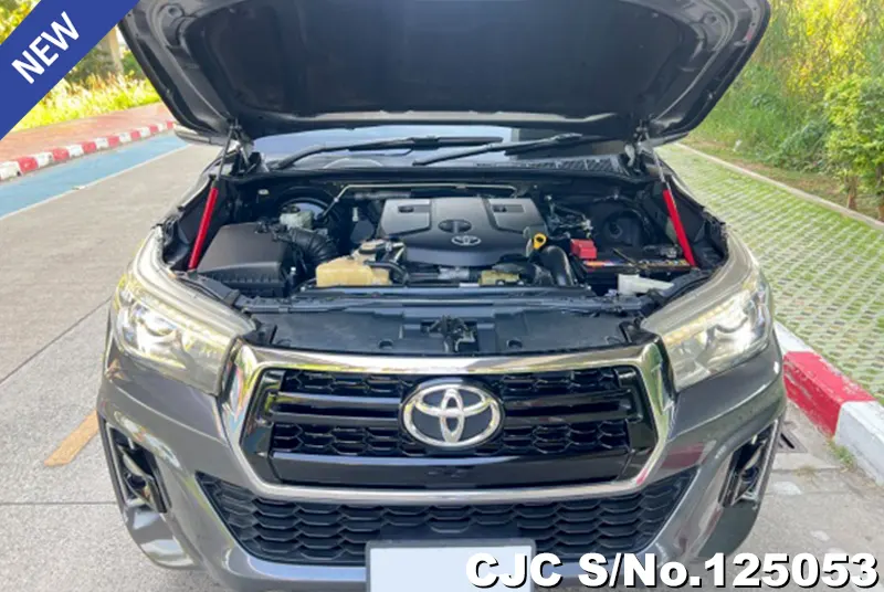 Toyota Hilux in Gray for Sale Image 13