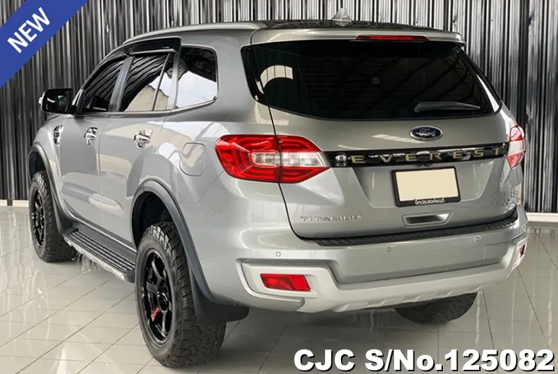 Ford Everest in Gray for Sale Image 1