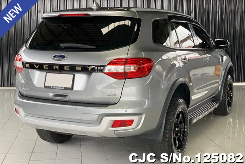 Ford Everest in Gray for Sale Image 2