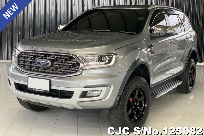 Ford Everest in Gray for Sale Image 3
