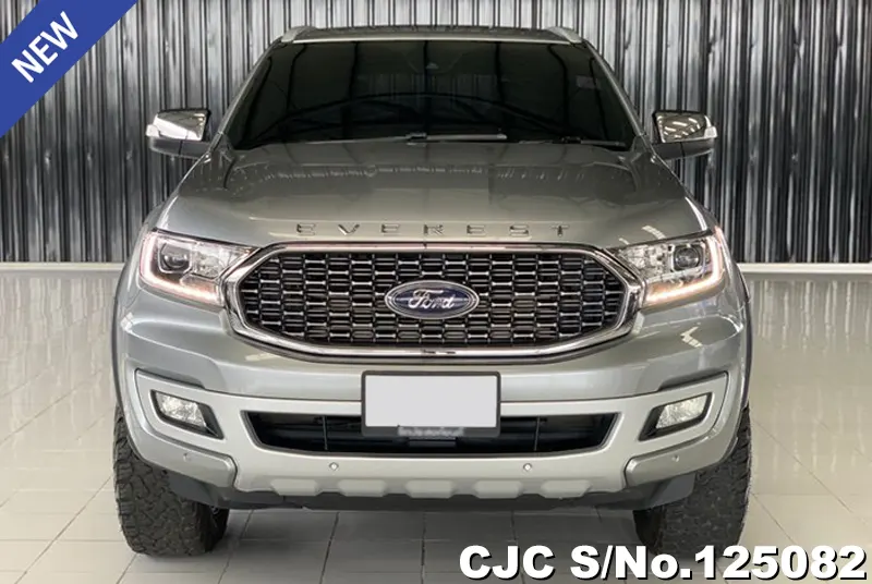 Ford Everest in Gray for Sale Image 4