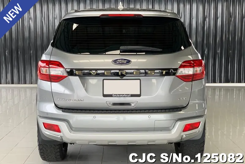 Ford Everest in Gray for Sale Image 5
