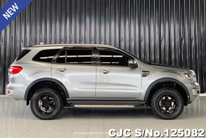 Ford Everest in Gray for Sale Image 6
