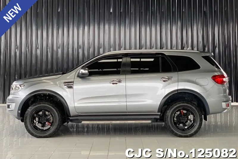 Ford Everest in Gray for Sale Image 7