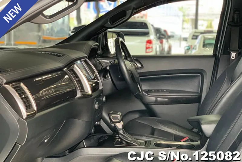 Ford Everest in Gray for Sale Image 11