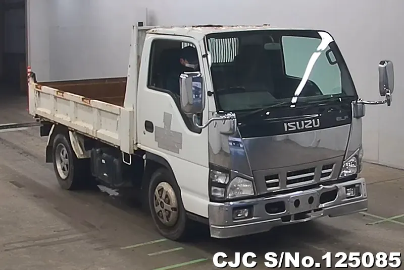 Isuzu / Elf 2005