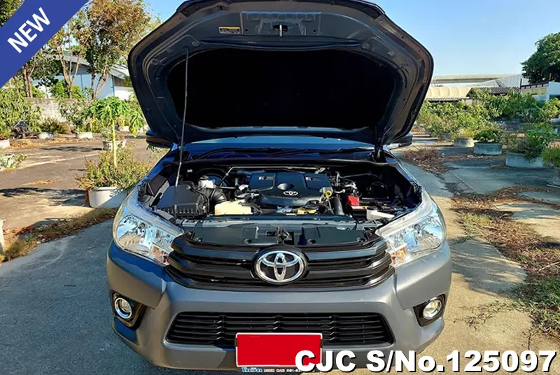 Toyota Hilux in Gray for Sale Image 12