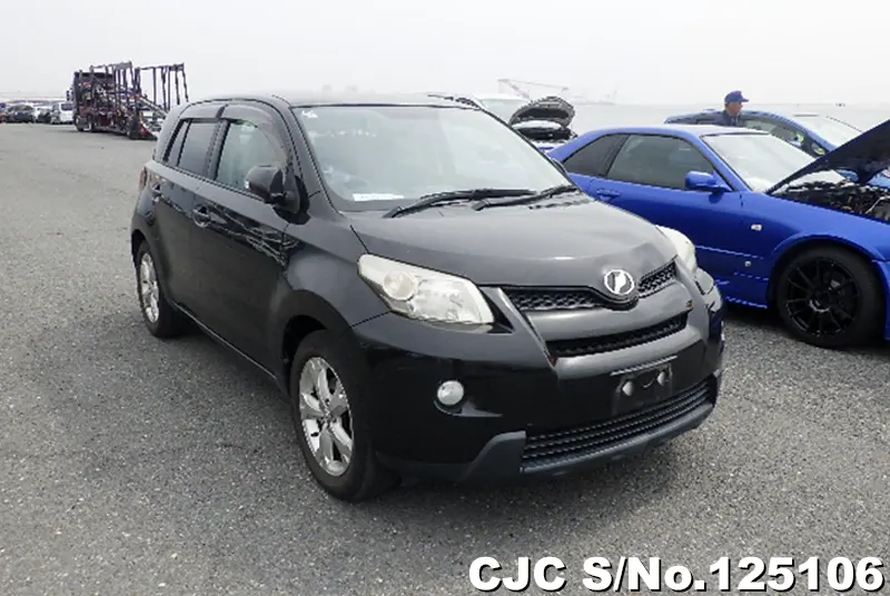 Toyota / IST 2010
