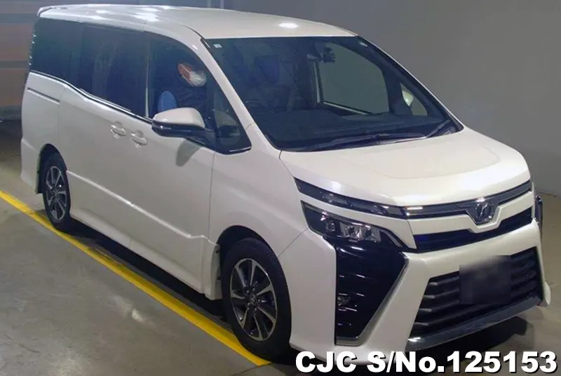 Toyota / Voxy 2019
