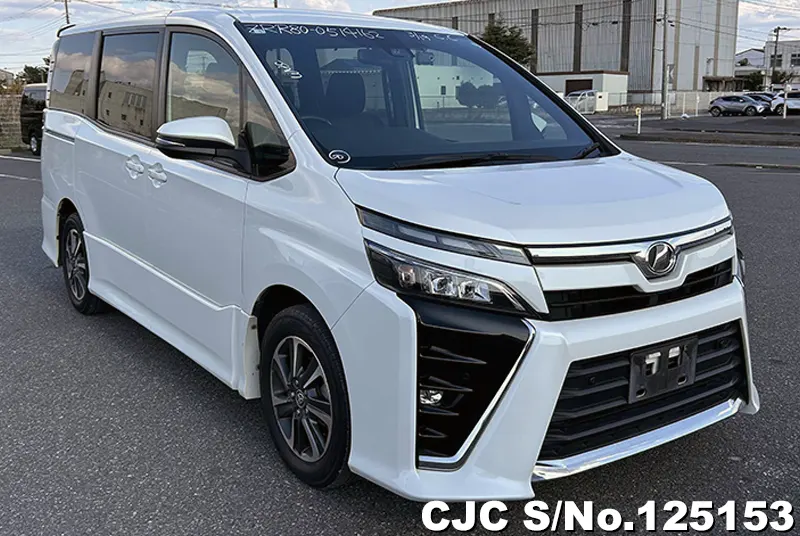 Toyota / Voxy 2019
