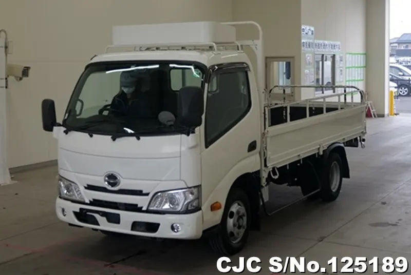 Hino / Dutro 2019
