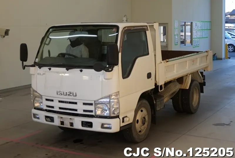 Isuzu / Elf 2011