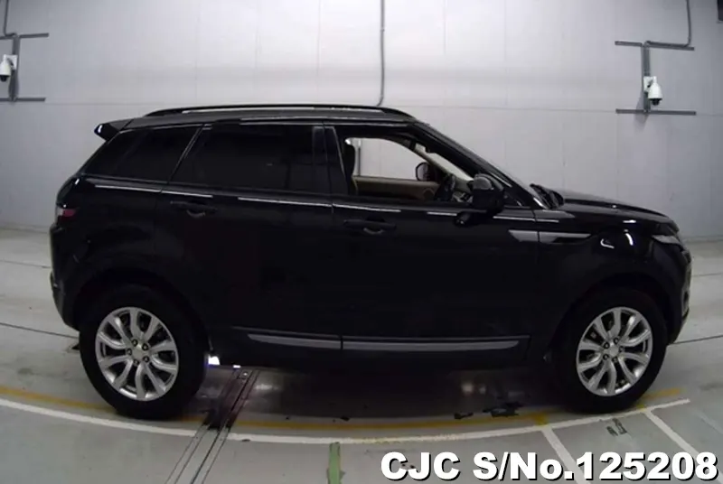 Land Rover Range Rover in Black for Sale Image 4